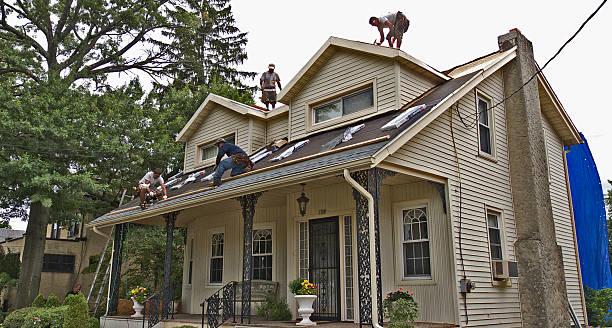 Best Roof Gutter Cleaning  in Winters, TX